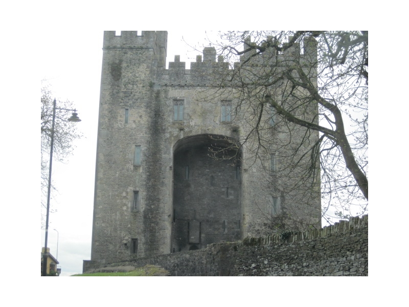 Chauffeur Tour Bunratty Castle