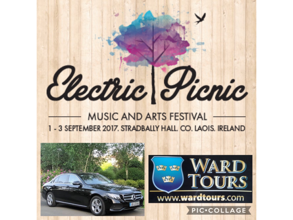 Electric Picnic Festival
